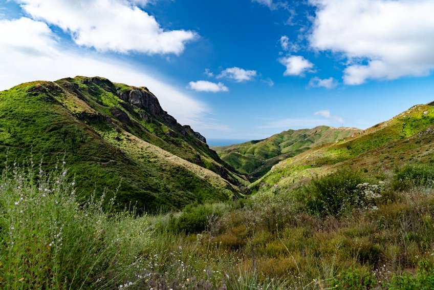 USA Mount Rainier Wildflower Season