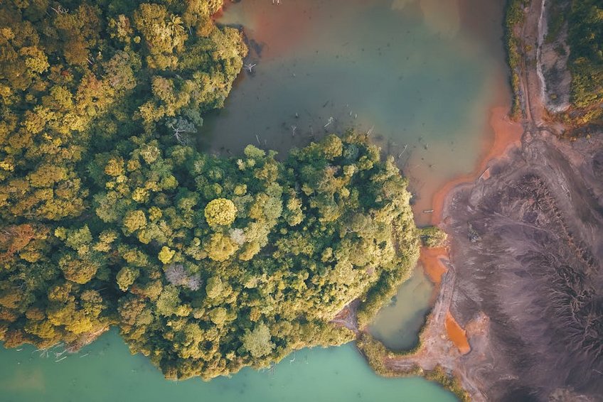 USA Olympic Peninsula Hoh Rainforest
