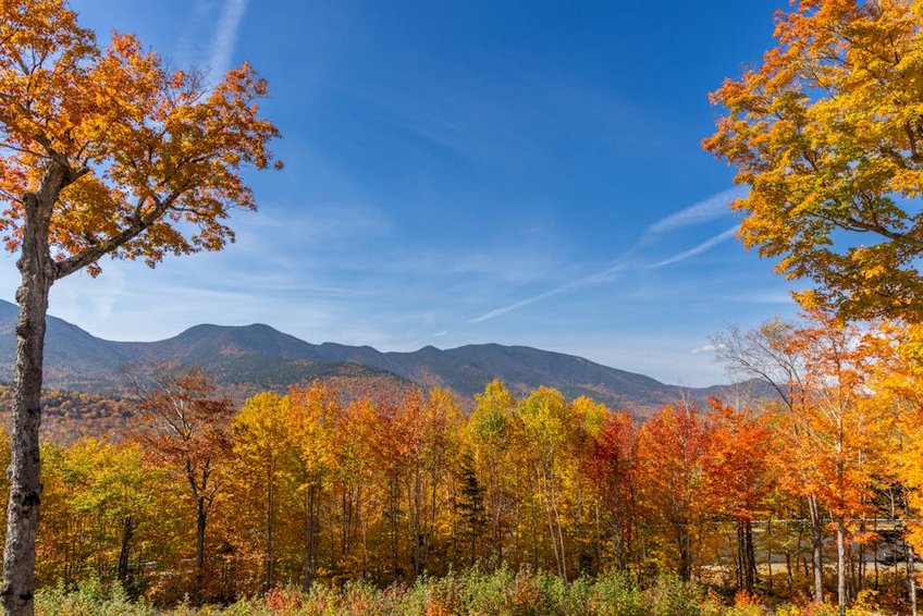 USA White Mountains New Hampshire Fall Colors