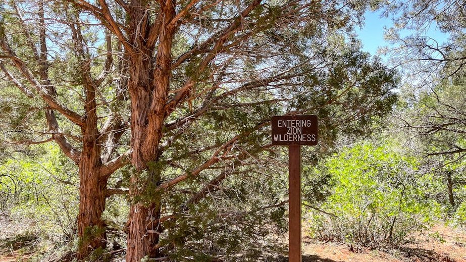 USA Zion National Park Angels Landing