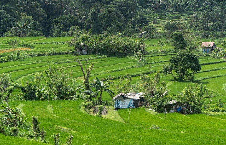Bali Rice Terrace Photography Tips