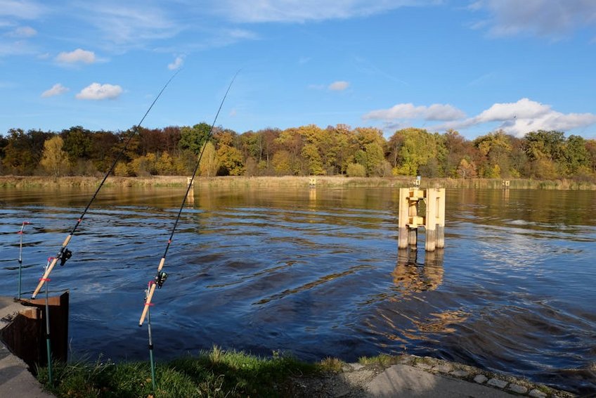 Brunei Ulu Temburong Park Access