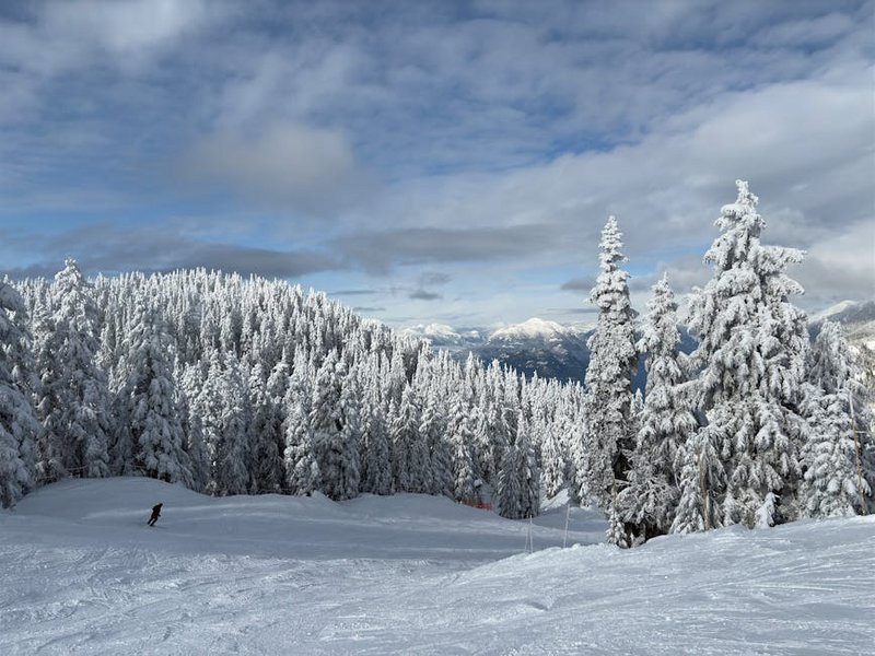 Canada Whistler January Ski Conditions