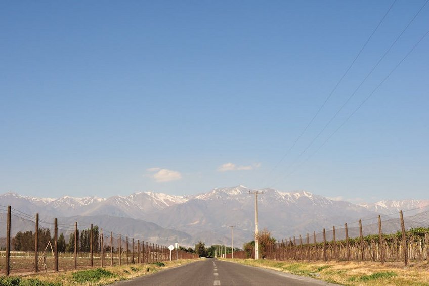 Chile Santiago January Vineyard Tours
