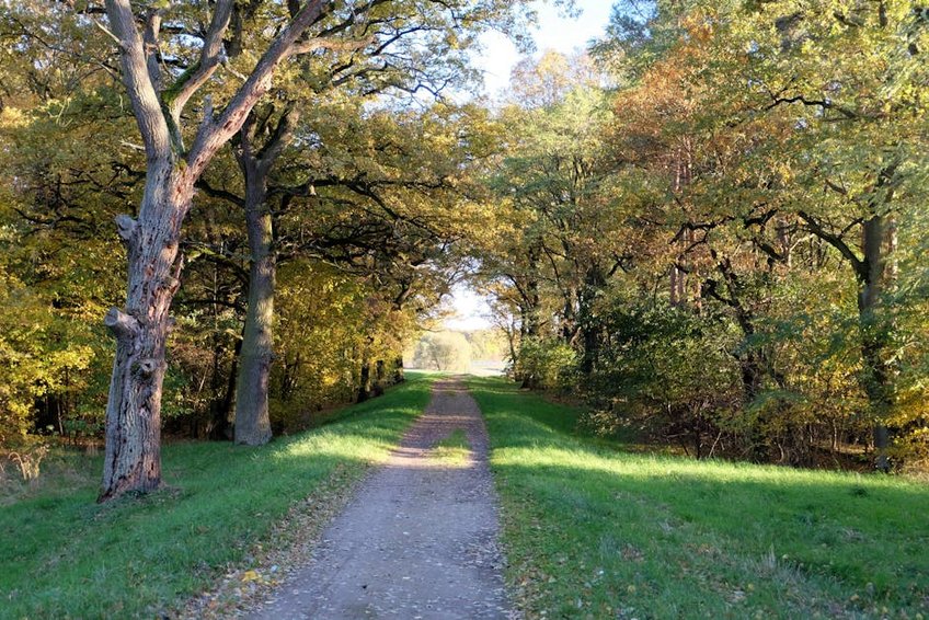 Italy Cinque Terre Hiking Trail Map