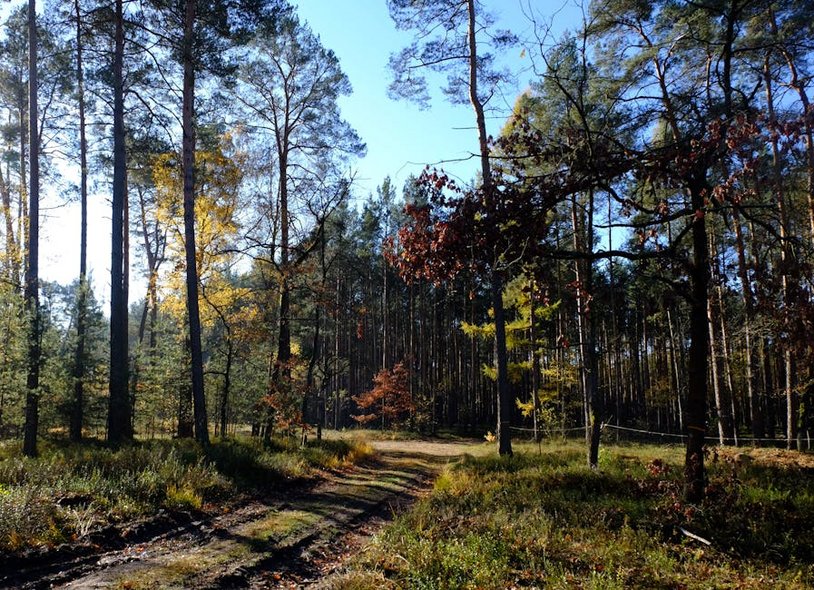 Italy Cinque Terre Hiking Trail Map