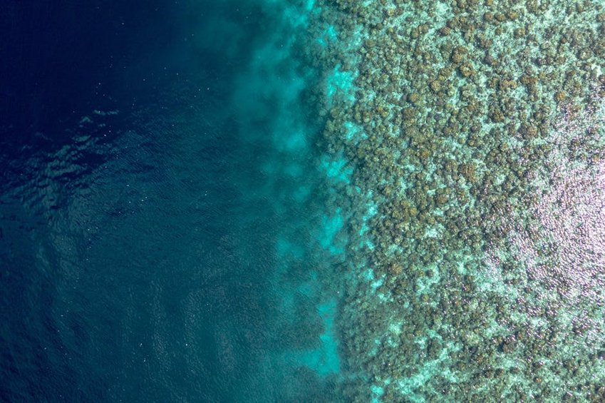 Maldives Best Snorkeling Spots