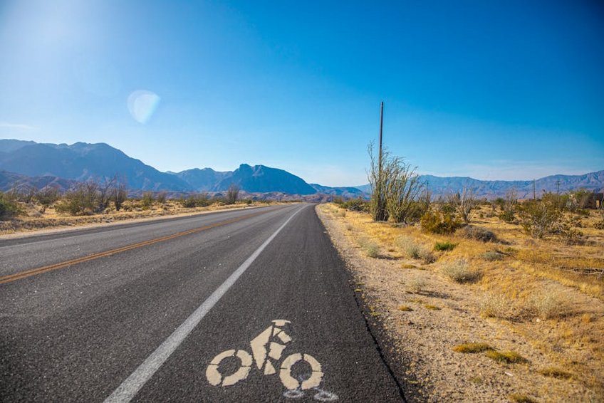 American Southwest Desert Wildflowers