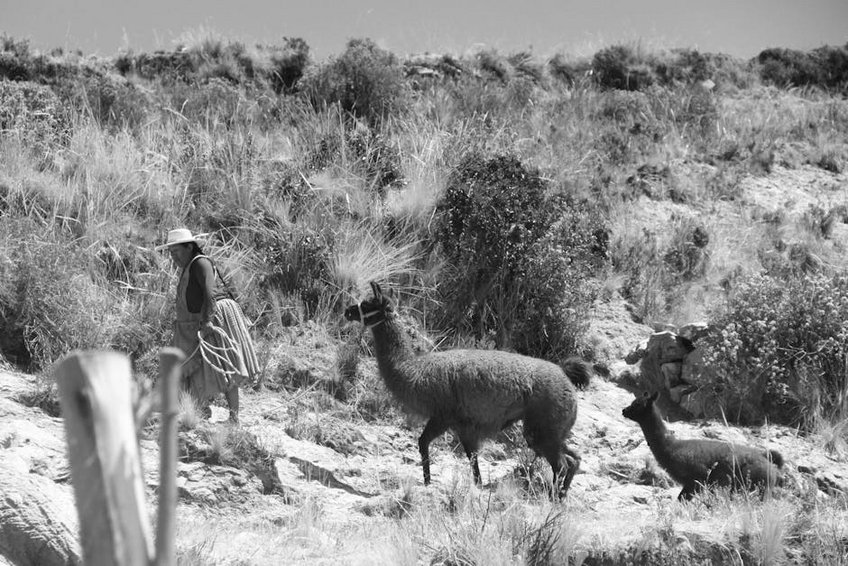 Bolivia La Paz Alasita Fair