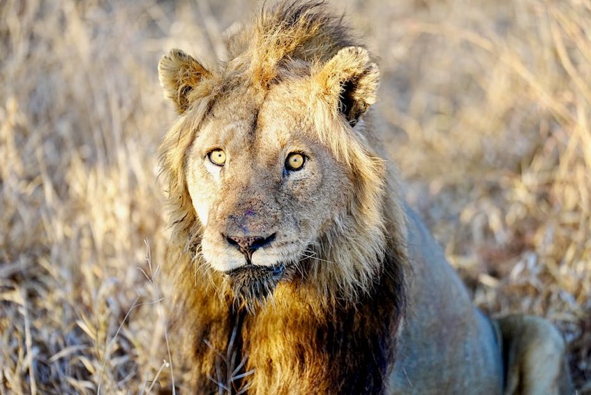 Botswana Okavango Delta Water Rise
