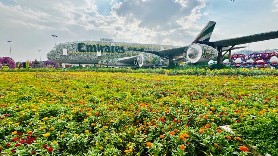 Dubai Miracle Garden Flower Park