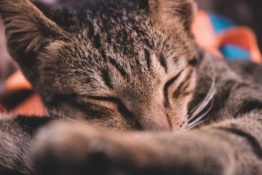 Laos Luang Prabang Bun Khun Lan