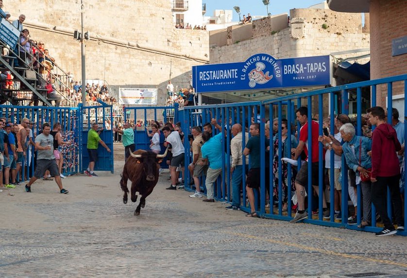 Spain Valencia Fallas Fire Festival