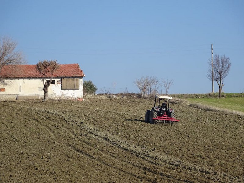 Turkey Izmir Manisa Mesir Paste
