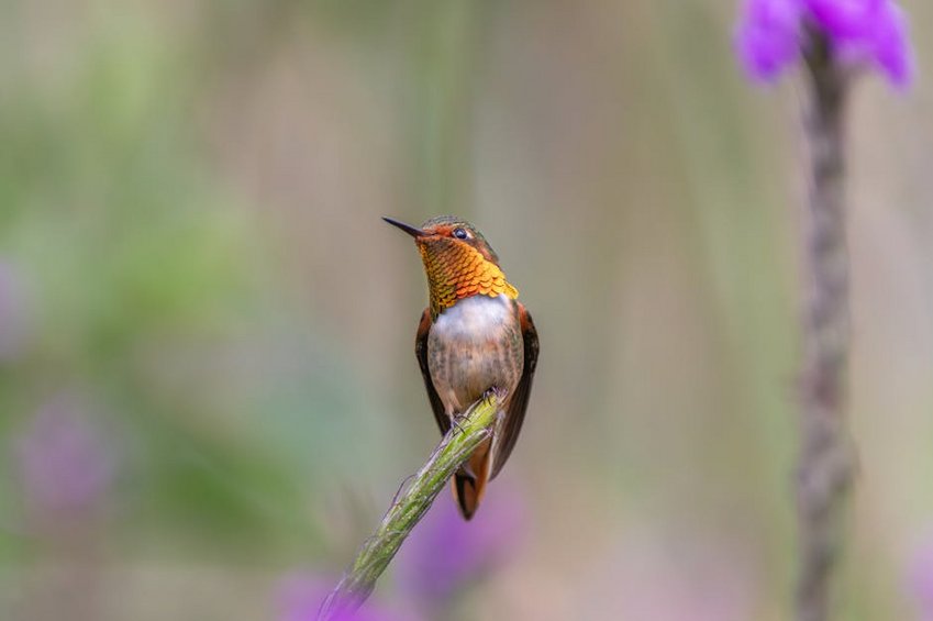 Ecotourism Routes in Costa Rica