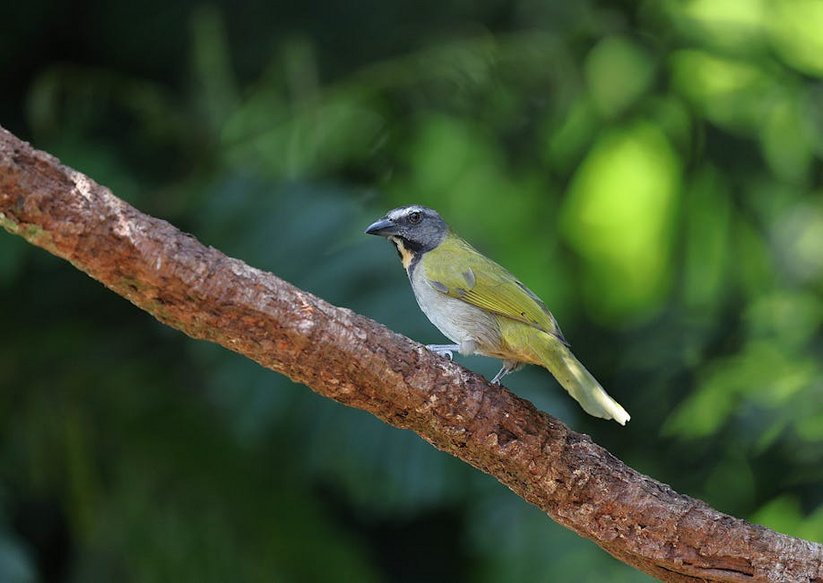 Ecotourism Routes in Costa Rica