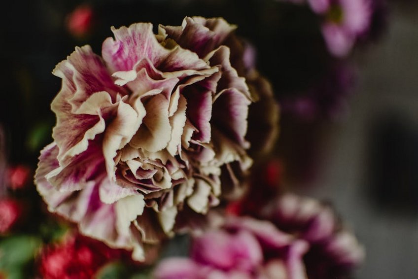 Helsinki Travel Guide