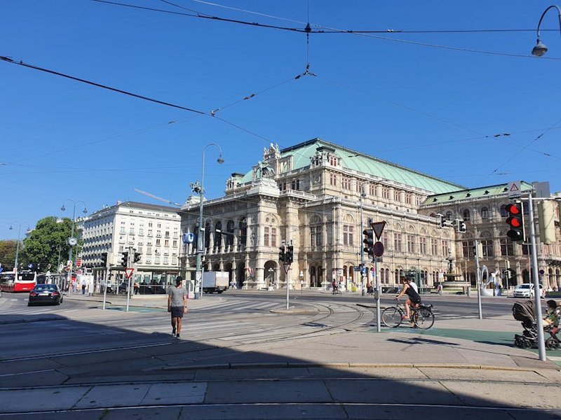 Music and Culture in Vienna