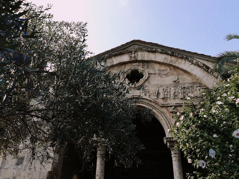 Plateau Tours in Trabzon
