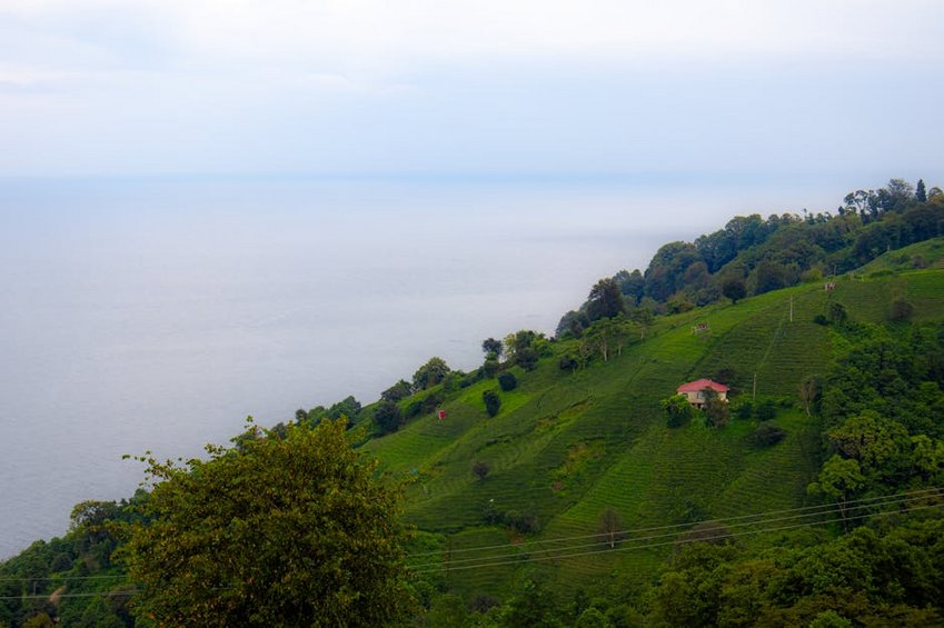 Rize Travel Guide