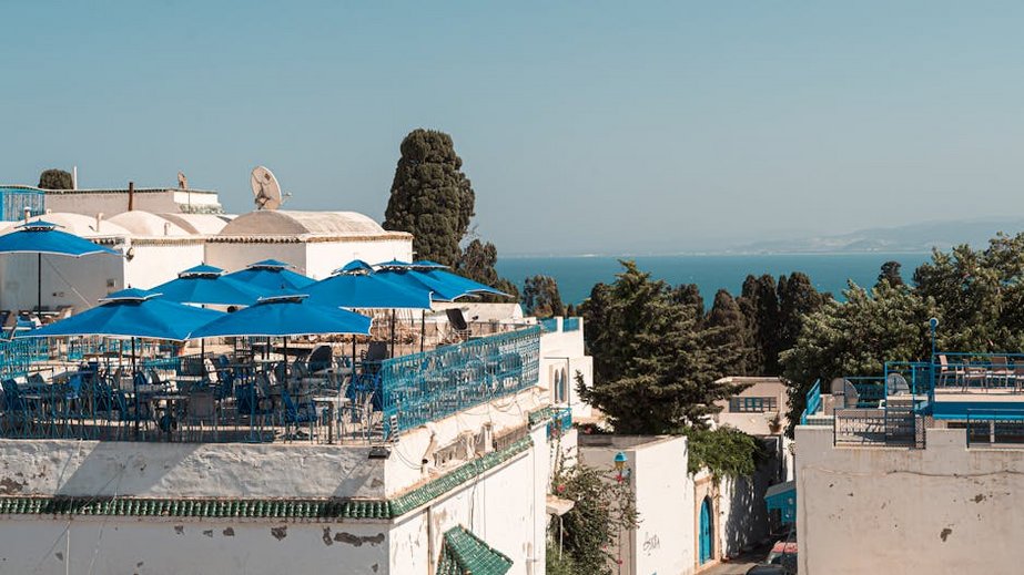 Tunis Travel Guide