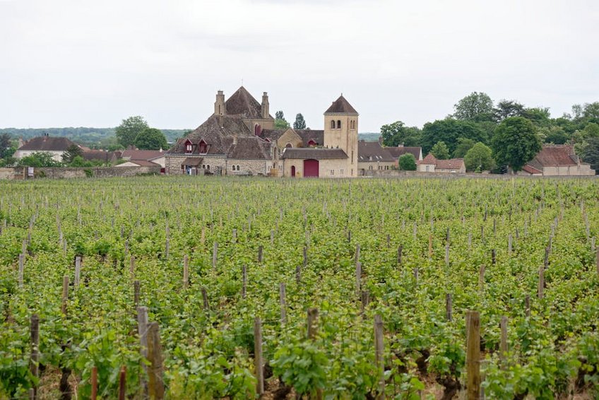 Wine Region Tours in France