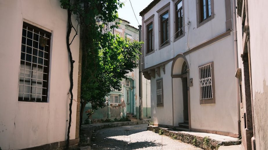 Ayvalik Travel Guide