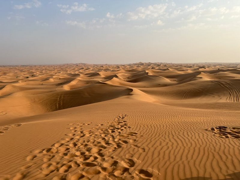 Desert Safari in the United Arab Emirates
