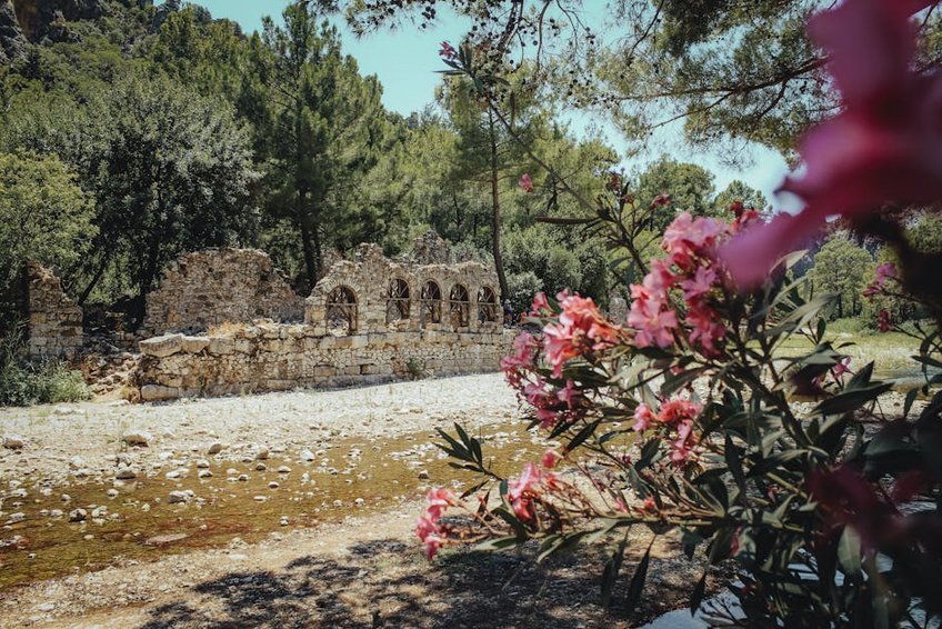 Olympos Travel Guide