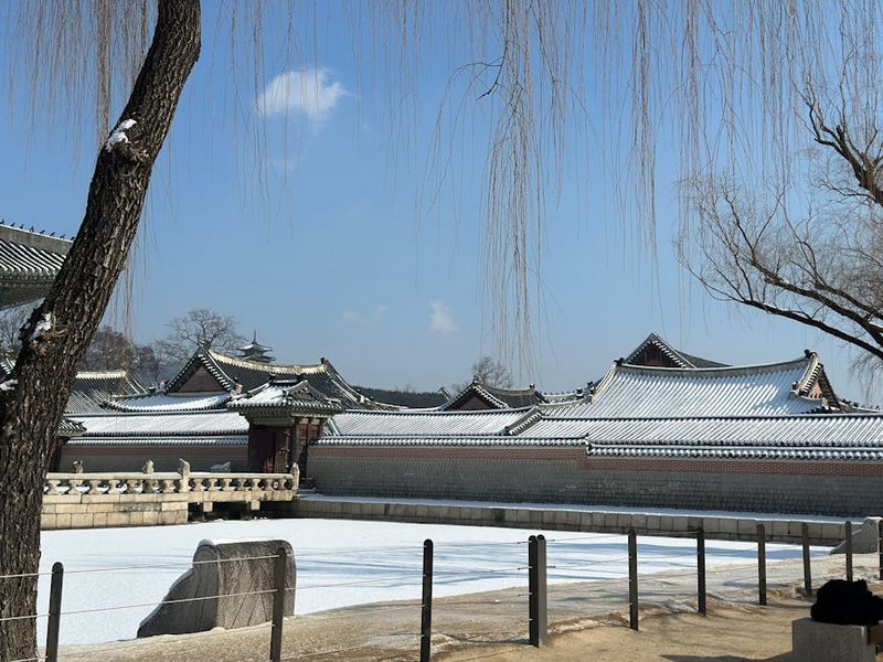 Palace Tour in South Korea