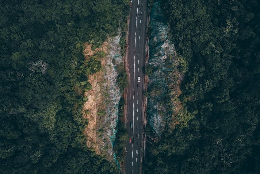 Rainforest Exploration in Malaysia